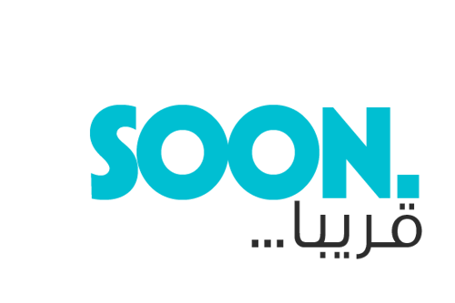 الاكسسوارات